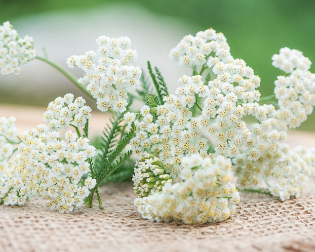 fotor_2023-5-27_13_42_1