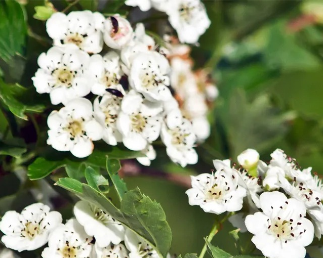 fotor_2023-5-27_13_45_49