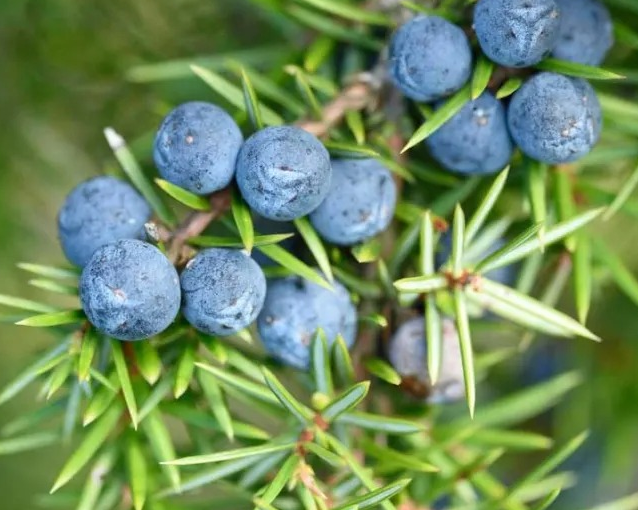 fotor_2023-5-27_13_54_24