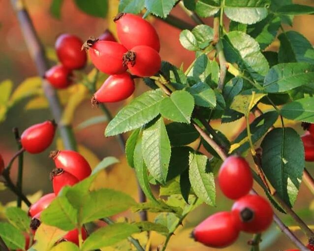 fotor_2023-5-27_13_56_26