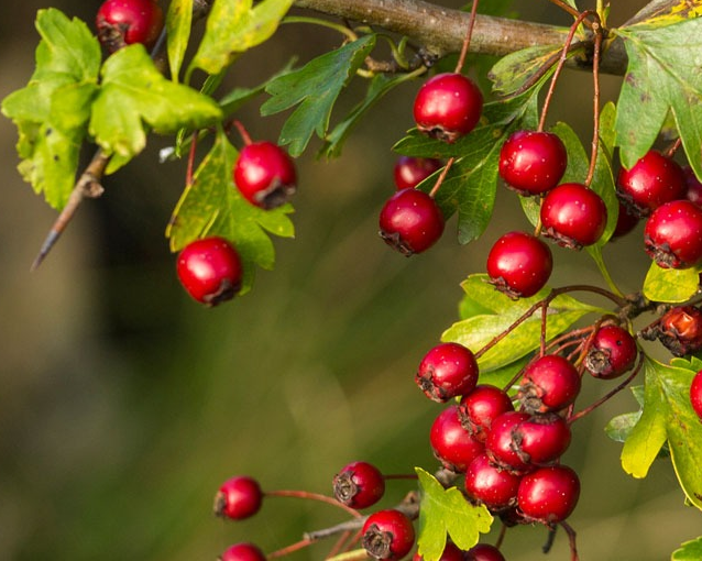 fotor_2023-5-27_14_0_34