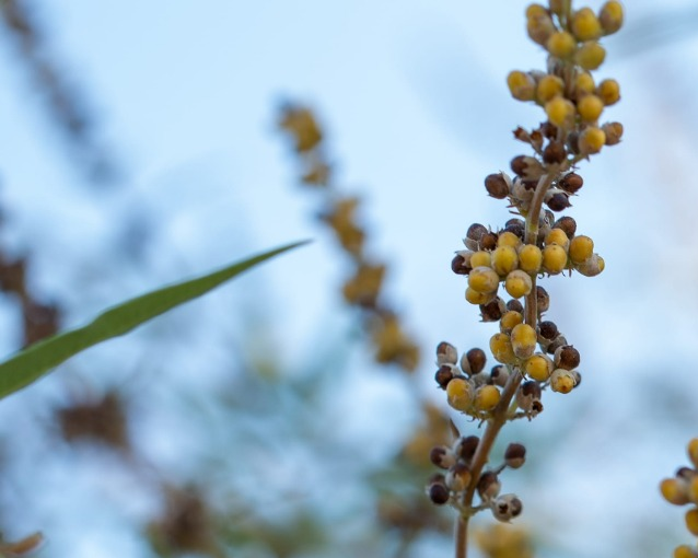 fotor_2023-5-27_14_10_23