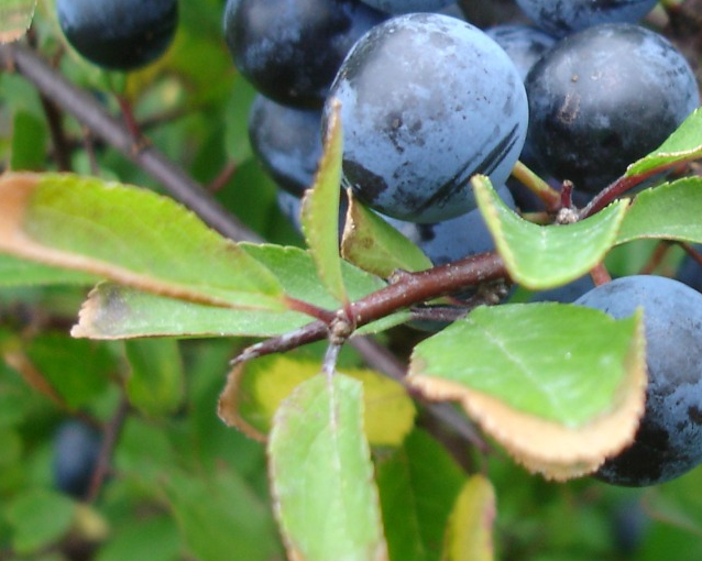 fotor_2023-5-27_14_13_39