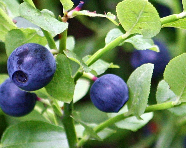 fotor_2023-5-27_14_16_36