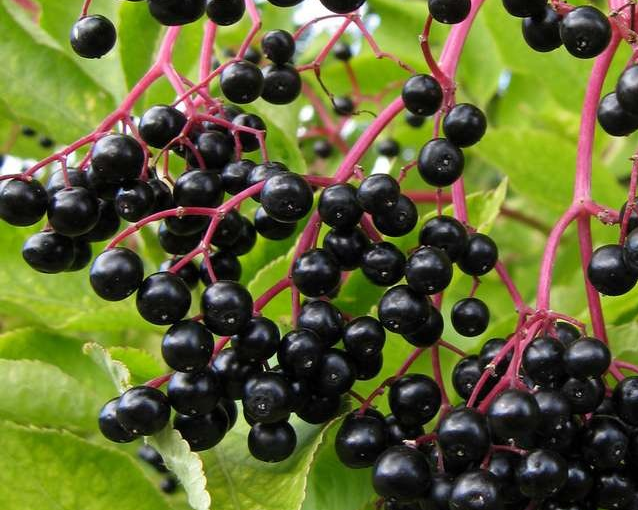 fotor_2023-5-27_14_3_14