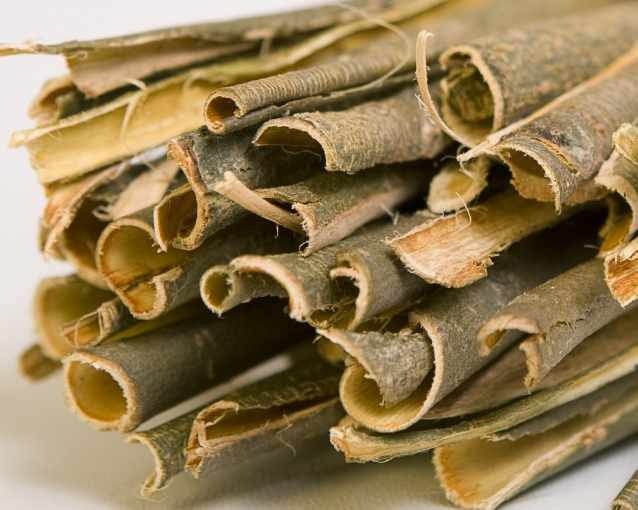 fotor_2023-5-27_15_12_36