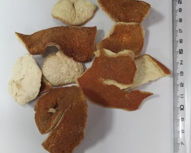 fotor_2023-5-27_15_2_29