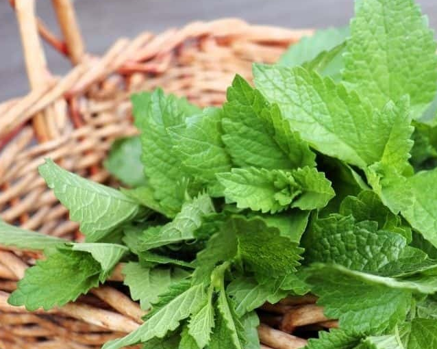 fotor_2023-5-27_9_24_8