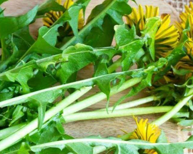 fotor_2023-5-27_9_30_25