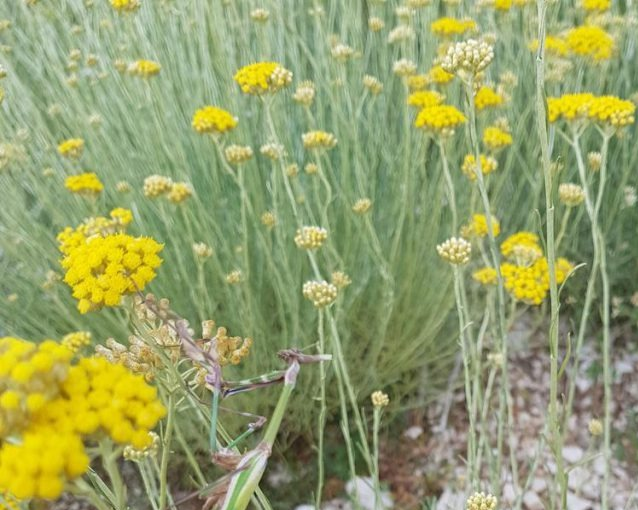 fotor_2023-5-27_9_34_38