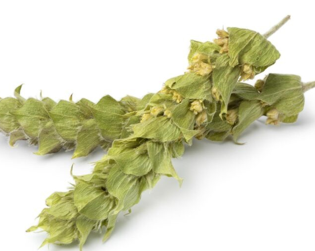 fotor_2023-5-27_9_40_49