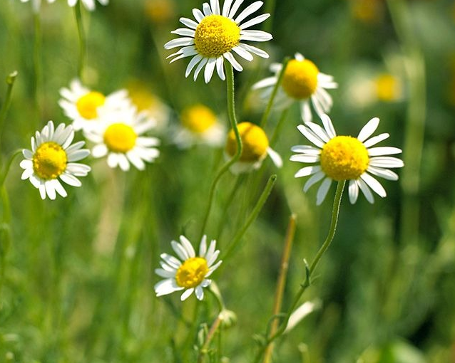 fotor_2023-5-27_9_46_33