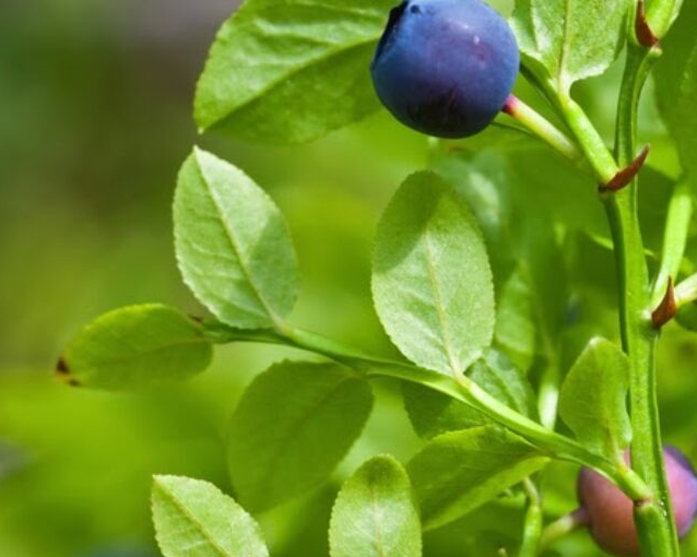 fotor_2023-5-27_9_49_45