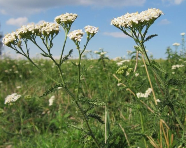 fotor_2023-5-27_9_57_26