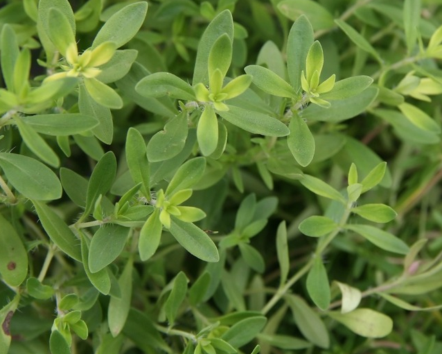 fotor_2023-5-29_14_23_52