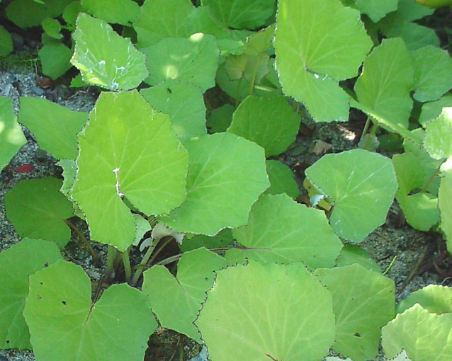 fotor_2023-5-29_14_27_47