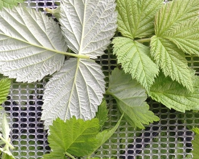 fotor_2023-5-29_14_29_44