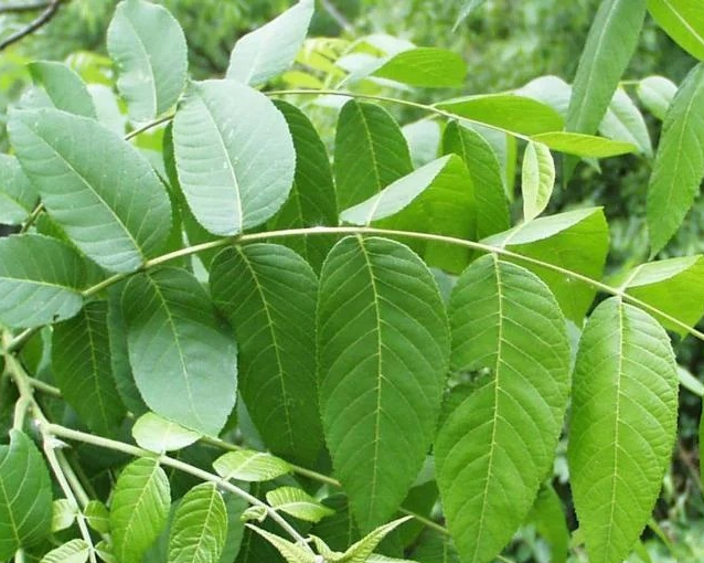 fotor_2023-5-29_14_39_47