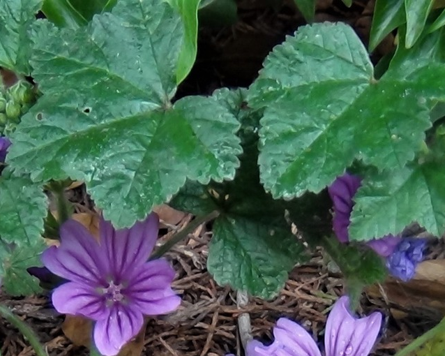 fotor_2023-5-29_14_45_18