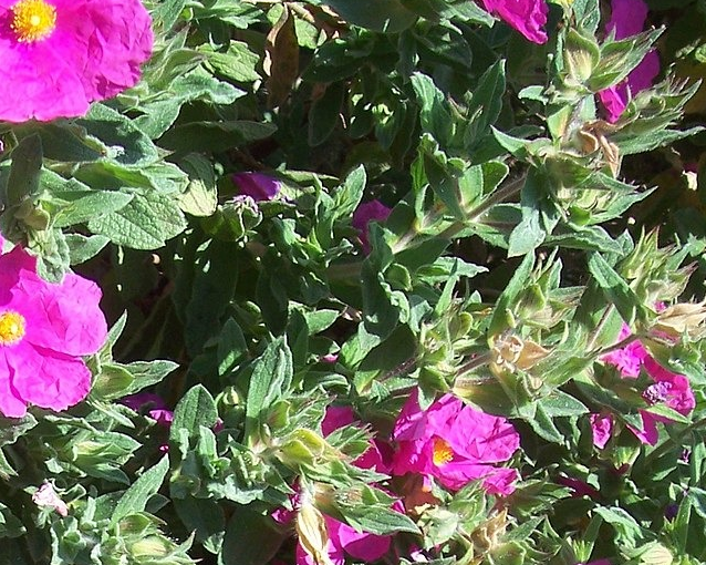 fotor_2023-5-29_14_50_33