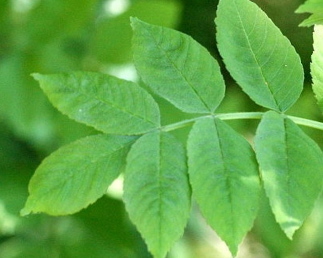 fotor_2023-5-29_14_55_51