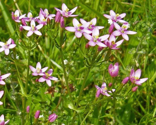 fotor_2023-5-29_15_11_43