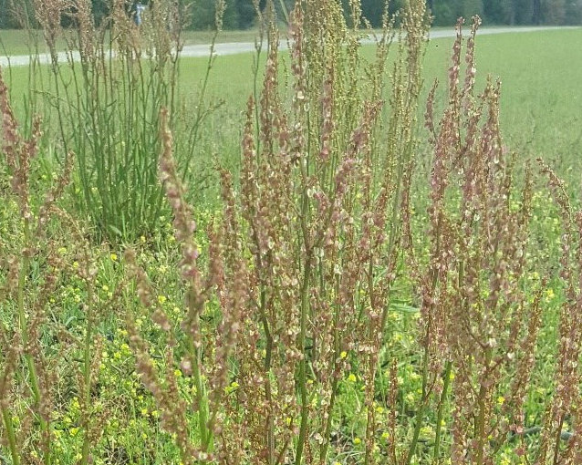 fotor_2023-5-29_15_20_33