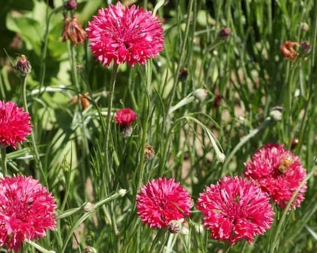 fotor_2023-5-29_15_35_37