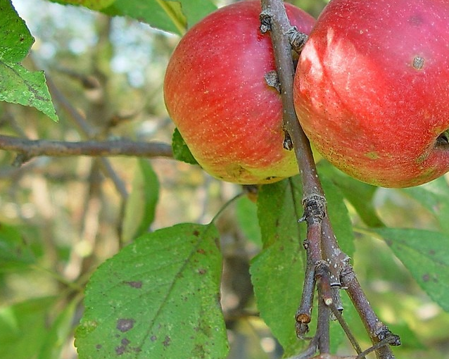 fotor_2023-5-29_15_46_3