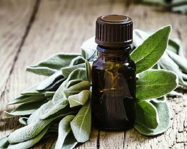 fotor_2023-5-29_16_17_49