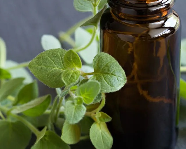 fotor_2023-5-29_16_32_21