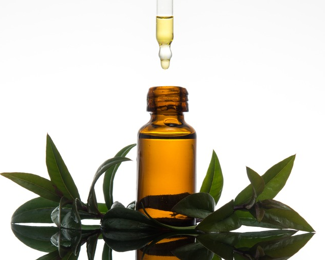 fotor_2023-5-29_16_34_44