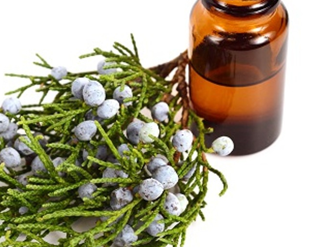 fotor_2023-5-29_16_37_14