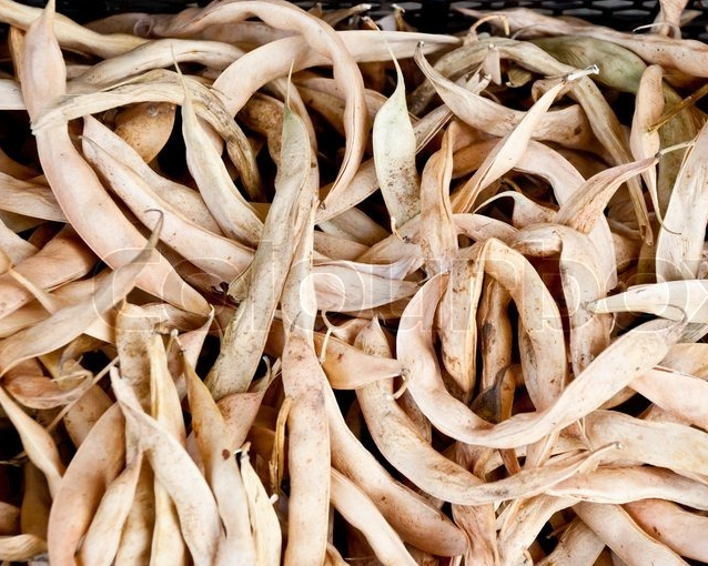 fotor_2023-5-29_16_48_21