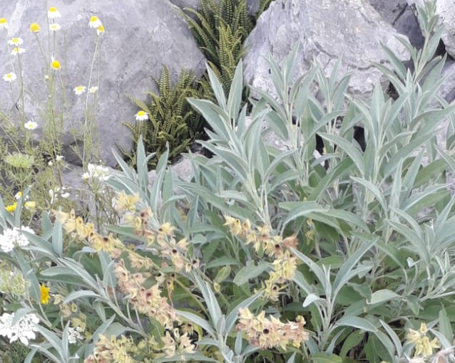 fotor_2023-6-6_8_26_24